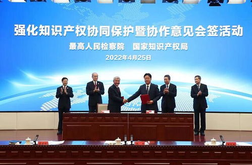 最高檢與國家知識產(chǎn)權(quán)局建立常態(tài)化聯(lián)絡(luò)機制 重大案件共同掛牌督辦